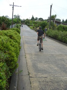 Baldwin Street, New Zealand